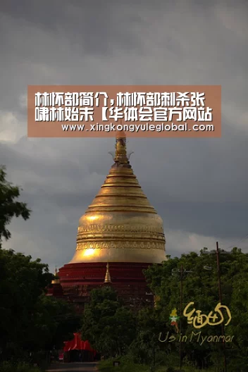 林怀部简介,林怀部刺杀张啸林始末【华体会官方网站】
