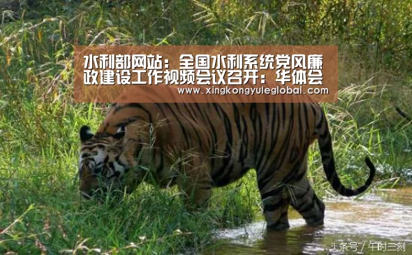 水利部网站：全国水利系统党风廉政建设工作视频会议召开：华体会