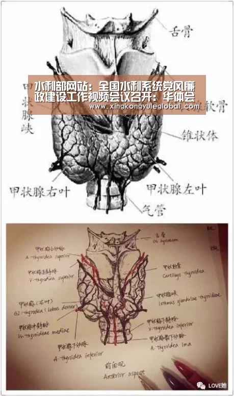 水利部网站：全国水利系统党风廉政建设工作视频会议召开：华体会体育在线登录(图4)