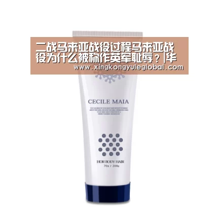二战马来亚战役过程马来亚战役为什么被称作英军耻辱?|华体会登录入口(图2) 华体会官方网站