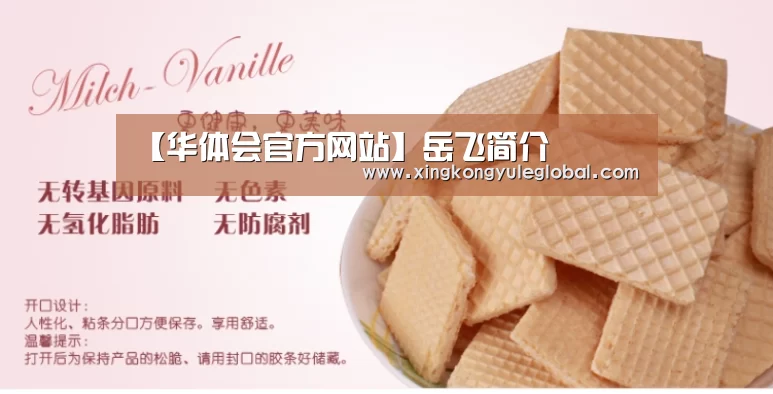 【华体会官方网站】岳飞简介(图2)
