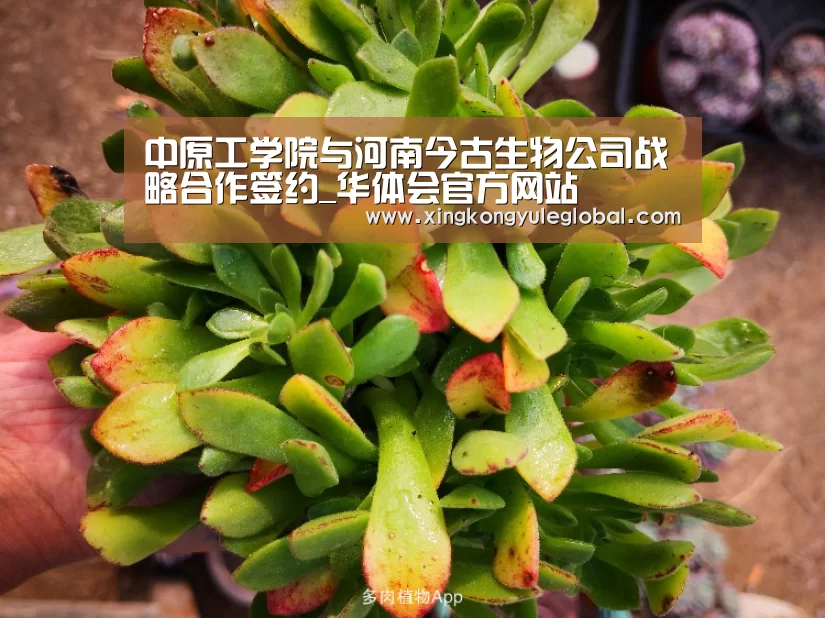 中原工学院与河南今古生物公司战略合作签约_华体会官方网站