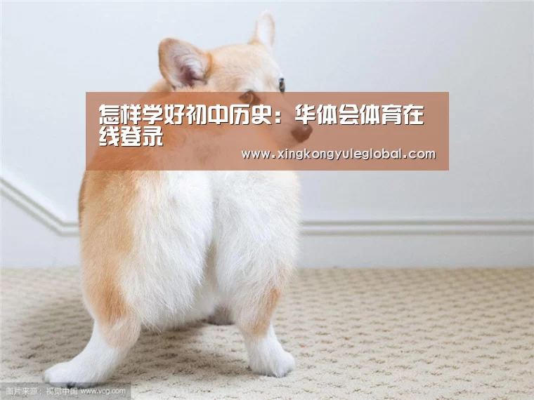 
怎样学好初中历史：华体会体育在线登录