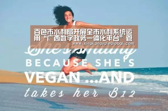 百色市水利局开展全市水利系统运用“广西数字政务一体化平台”管理相关业务培训:华体会官方网站(图2) 华体会登录入口