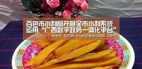百色市水利局开展全市水利系统运用“广西数字政务一体化平台”管理相关业务培训:华体会官方网站(图1) 华体会登录入口